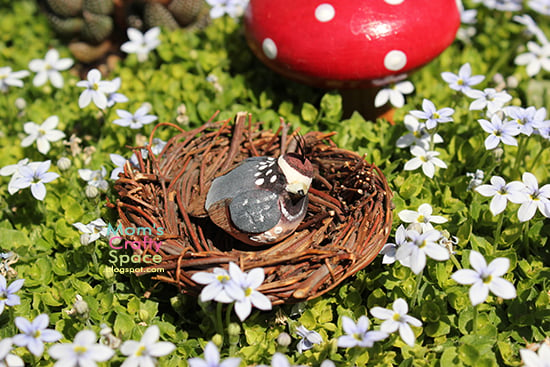 tiny birds nest in fairy garden