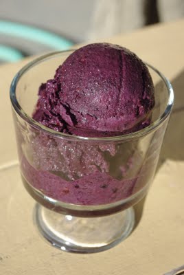 blackberry sorbet in cup