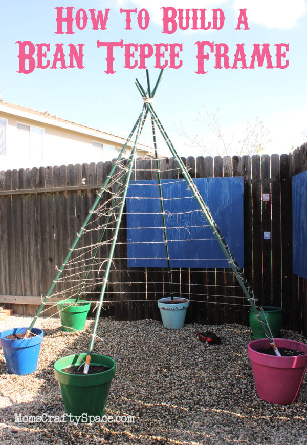 outdoor tee pee for green beans 