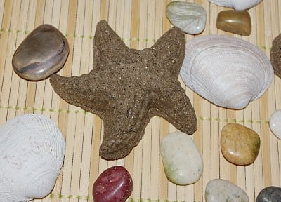 ever lasting sand sculpture starfish with decorative rocks and shells