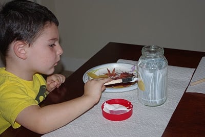 kids adding mod podge to diy leaf lantern