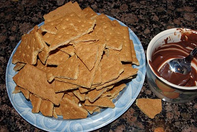 graham crackers in small chunks